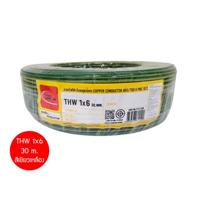 Thai Union THW 1x6 30ม. Copper Conductor 450/750V PVC 70 สายไฟ THW