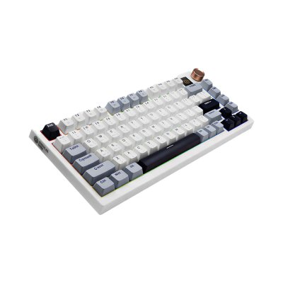 Neolution Singular Core Gaming Keyboard Usb 81 Key TH คีย์บอร์ดไร้สาย