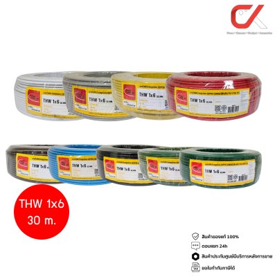 Thai Union THW 1x6 30ม. Copper Conductor 450/750V PVC 70 สายไฟ THW