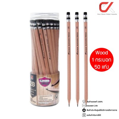 1 กระบอก 50 แท่ง Masterart ดินสอดำ Blacklead Pencil 2B Wood
