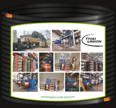 Thai Union THW 1x1.5 Copper Conductor 450/750V PVC 70  สายไฟ