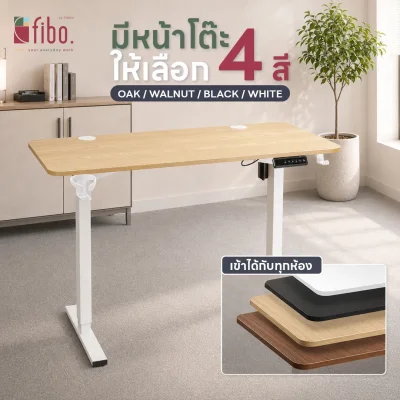 FIBO โต๊ะทำงาน HYPE