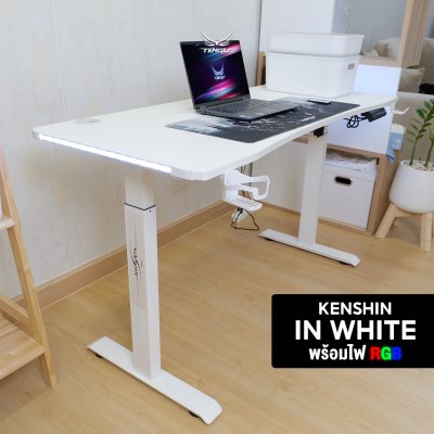 Tengu โต๊ะเกมมิ่งรุ่น Kenshin gaming desk