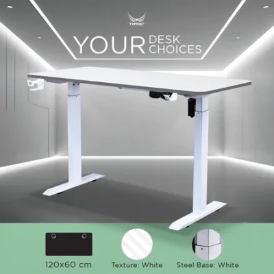 Tengu โต๊ะเกมมิ่งรุ่น Kenshin 2  Gaming Desk
