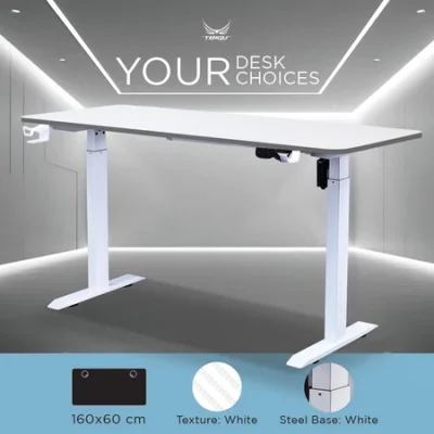 Tengu โต๊ะเกมมิ่งรุ่น Kenshin 2  Gaming Desk