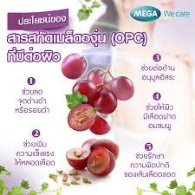 Mega we care grape seed 20mg 60 แคปซูล เมก้า วีแคร์ สารสกัดจากเมล็ดองุ่น 20มก