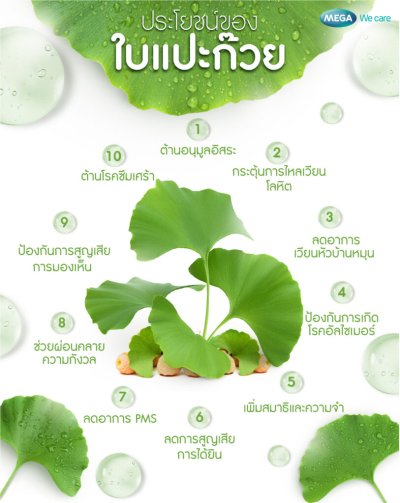 Mega we care ginkgo biloba 40mg 60 แคปซูล เมก้า วีแคร์ จิงโก บิโลบา 40มก