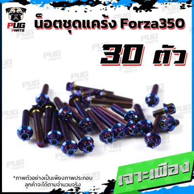N_SETK_Forza350_6