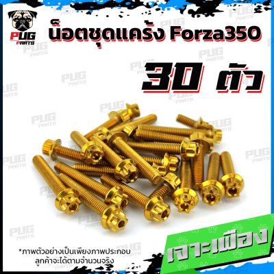 N_SETK_Forza350_8