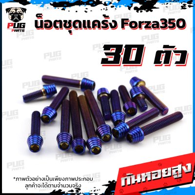 N_SETK_Forza350_4
