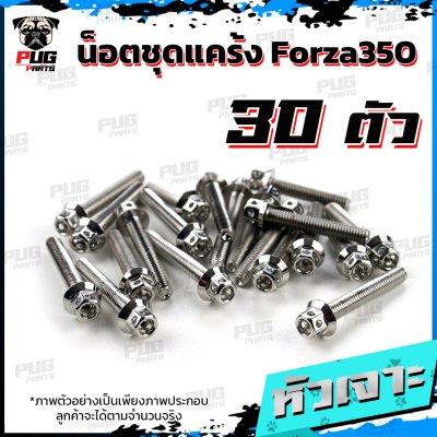 N_SETK_Forza350_3