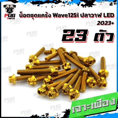 N_SETK_Wave125iLED23_4