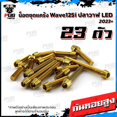 N_SETK_Wave125iLED23_8