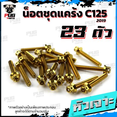 N_SET_C125-19_4