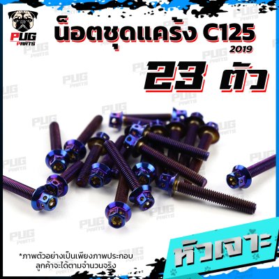 N_SET_C125-19_3