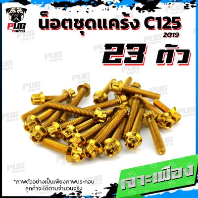 N_SET_C125-19_1