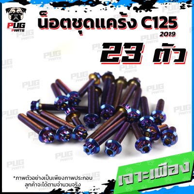 N_SET_C125-19_0