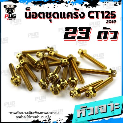 N_SET_CT125-19_3