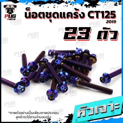 N_SET_CT125-19_2