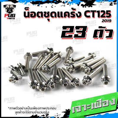 N_SET_CT125-19_1