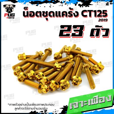 N_SET_CT125-19_0