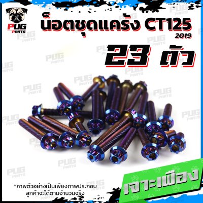 N_SET_CT125-19_9