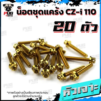 N_SET_CZI110_9