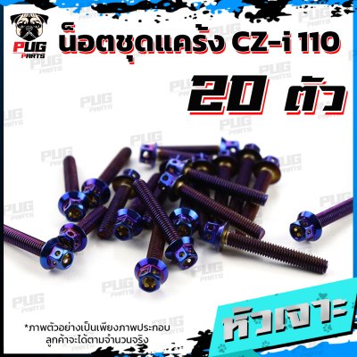 N_SET_CZI110_7