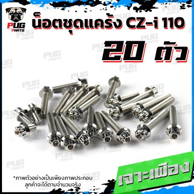 N_SET_CZI110_8