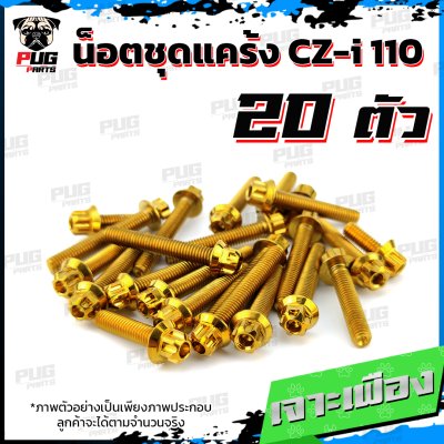 N_SET_CZI110_6