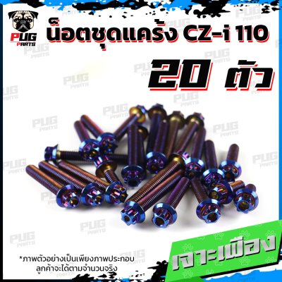 N_SET_CZI110_5