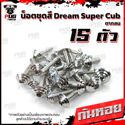  N_SET_Dream2018_15