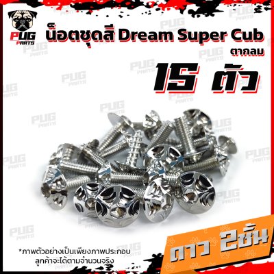  N_SET_Dream2018_13