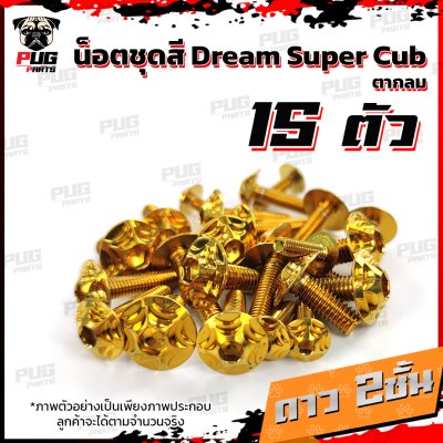 N_SET_Dream2018_11