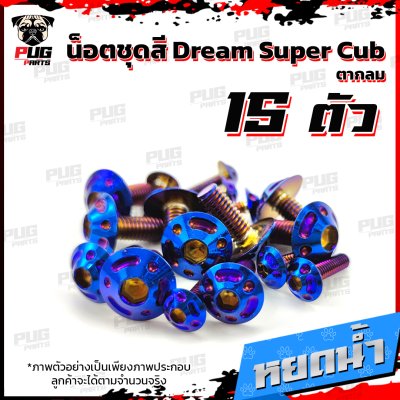 N_SET_Dream2018_18