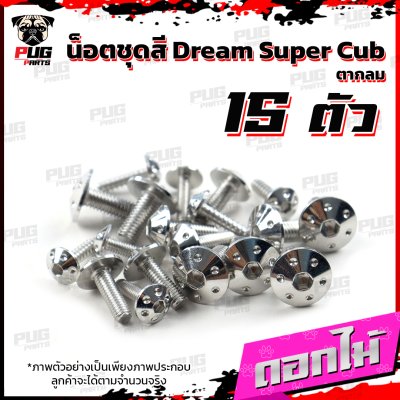  N_SET_Dream2018_16
