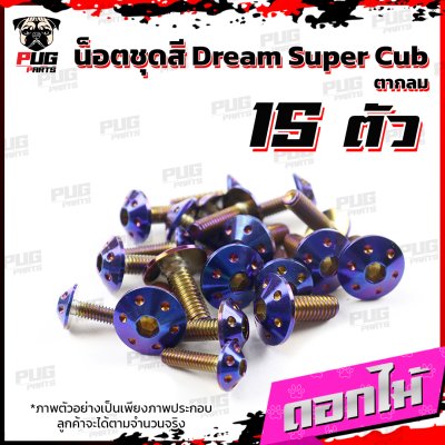  N_SET_Dream2018_1