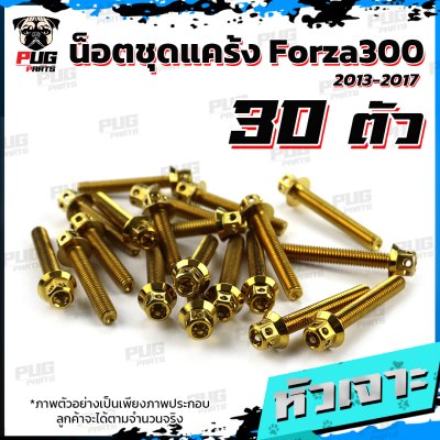 N_SET_KForza3001317_0