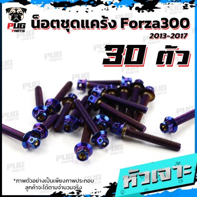 N_SET_KForza3001317_5