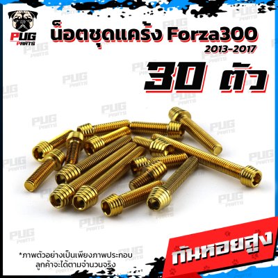 N_SET_KForza3001317_3