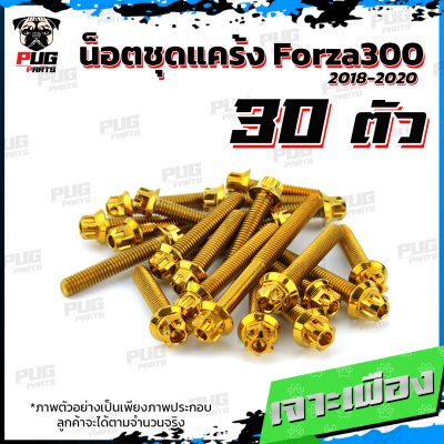 N_SET_KForza3001820_3
