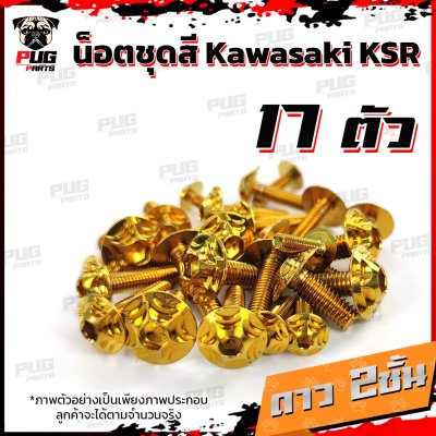 N_SET_KSR_13