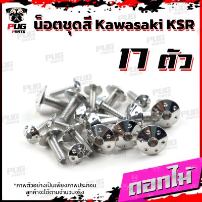 N_SET_KSR_17