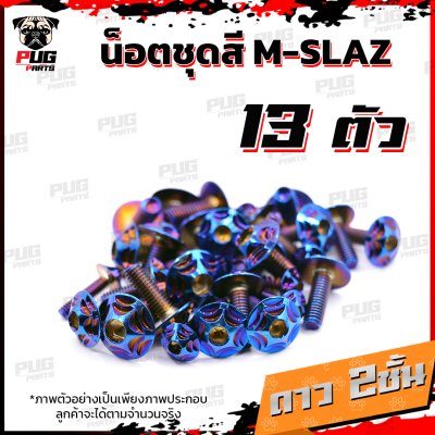 N_SET_MSLAZ_13