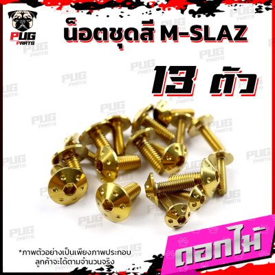 N_SET_MSLAZ_1