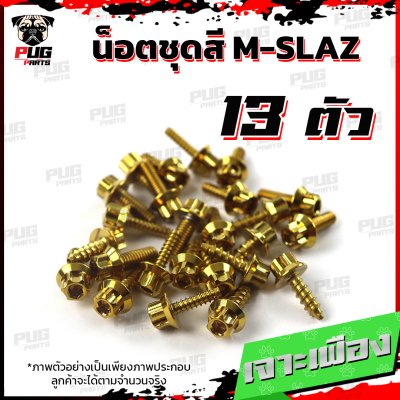 N_SET_MSLAZ_4