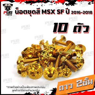 N_SET_MSXSF16-18_13