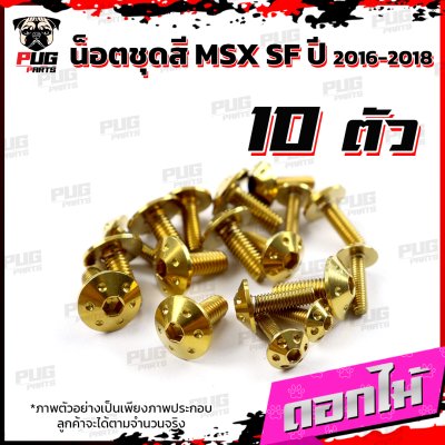 N_SET_MSXSF16-18_8