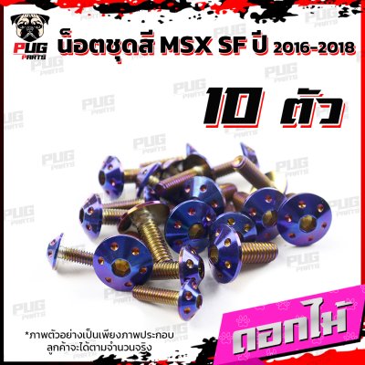 N_SET_MSXSF16-18_6