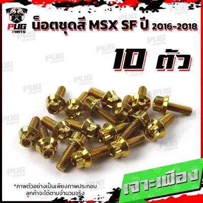 N_SET_MSXSF16-18_1